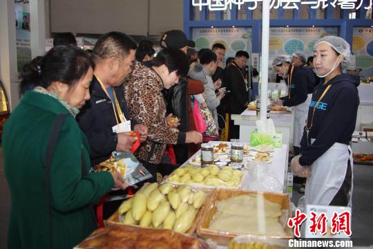 第九届中国国际薯业博览会开幕,11国近200家企业内蒙古论薯-新华网
